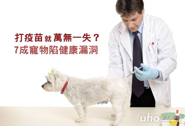 Вакцина для собак гексаканивак