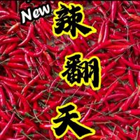 🌶️辣翻天