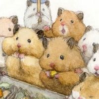 🐹助六の日常情報館🐹