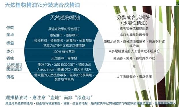 精油專家告訴你 貓狗可以使用精油嗎 上 寵物精油安全須知 寵物滔客 Line Today