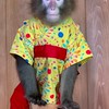 【詐欺判定】　うまい話　詐欺　案件　ロマンス詐欺　投資詐欺