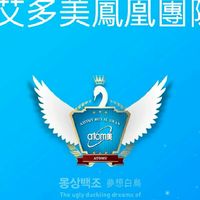 艾多美有苹鳳凰團隊