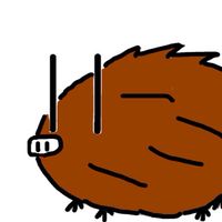 KSD深夜支部