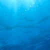 🫧【追想波紋の水界】🫧 完結