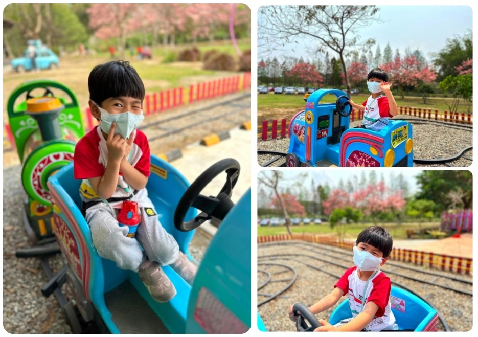 中部景點,斗六景點,斗六花旗木,近水樓台,近水樓台湖畔森林咖啡,近水樓台湖畔森林咖啡交通資訊,近水樓台湖畔森林咖啡停車場,近水樓台湖畔森林咖啡停車場花旗木,近水樓台湖畔森林咖啡門票,雲林IG打卡點,雲林景點,雲林網美景點,雲林花旗木近水樓台湖畔森林咖啡花旗木