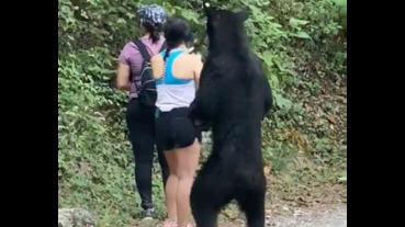 生態公園健行，遇到好奇小熊淡定合影留念