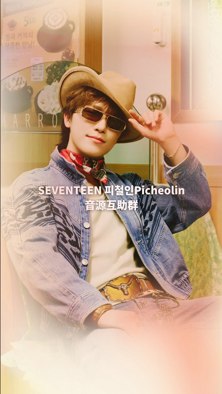 SEVENTEEN #피철인 #Picheolin音源互助群