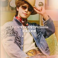 SEVENTEEN #피철인 #Picheolin音源互助群