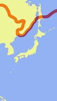 ゆるーい国家運営！！