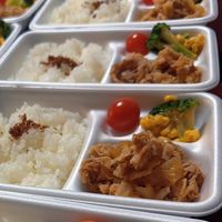 🌸みなぱ弁当専用🌸