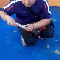 ซุ้มโท้งนำชัยไก่ชน