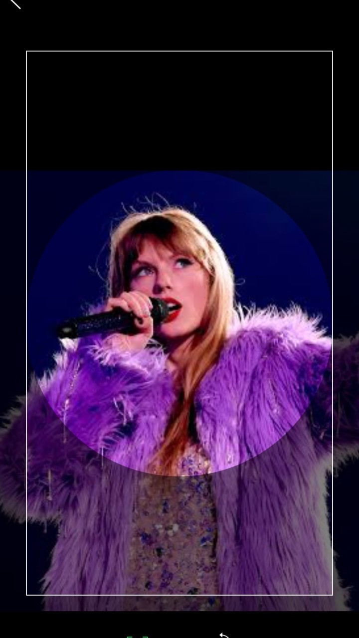 Taylor Swift fans