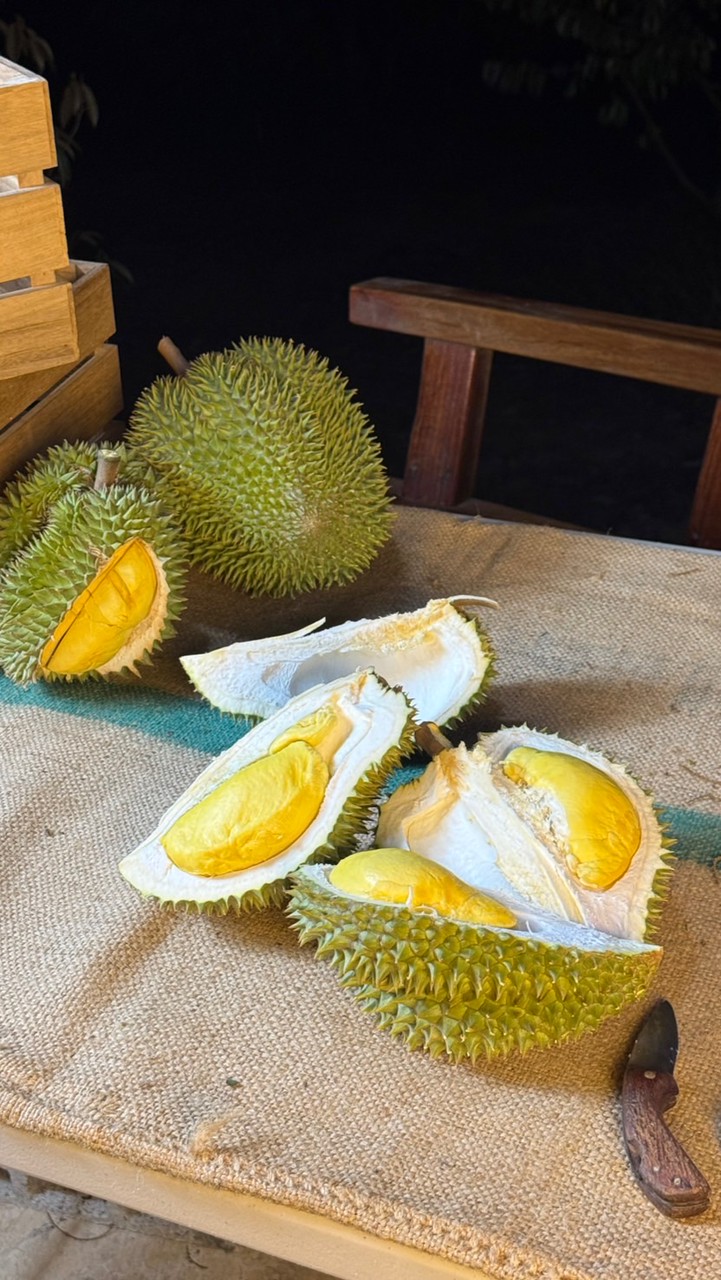 f ทุเรียนสวนจิตรลิสา