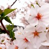 寝ない・寝れない人集まって夜中の暇をつぶそー！