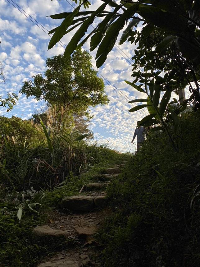 水泥叢林中的綠洲｜７條超推台北登山步道健行踏青拍美照一次滿足 奧 
