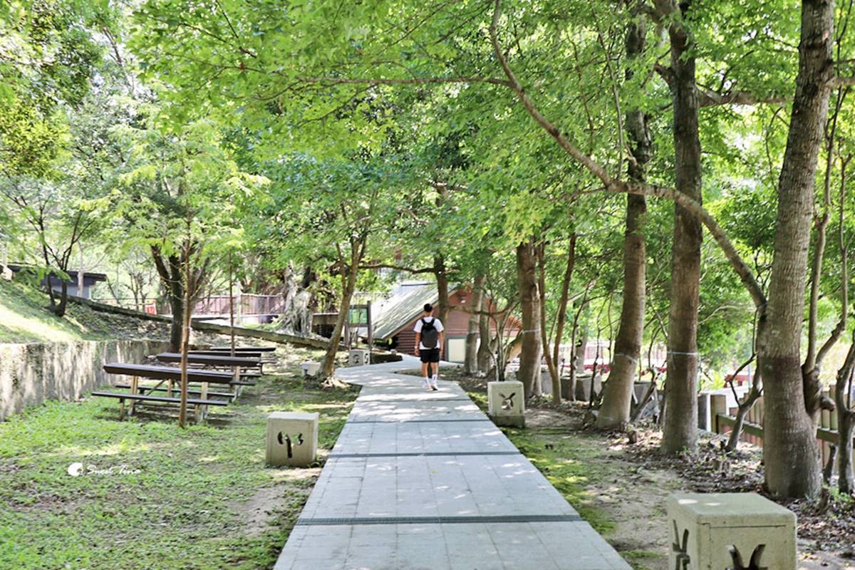 輕鬆好走不費力！內湖６條森林步道：80米「S型空中長廊」、紫色龍形吊橋