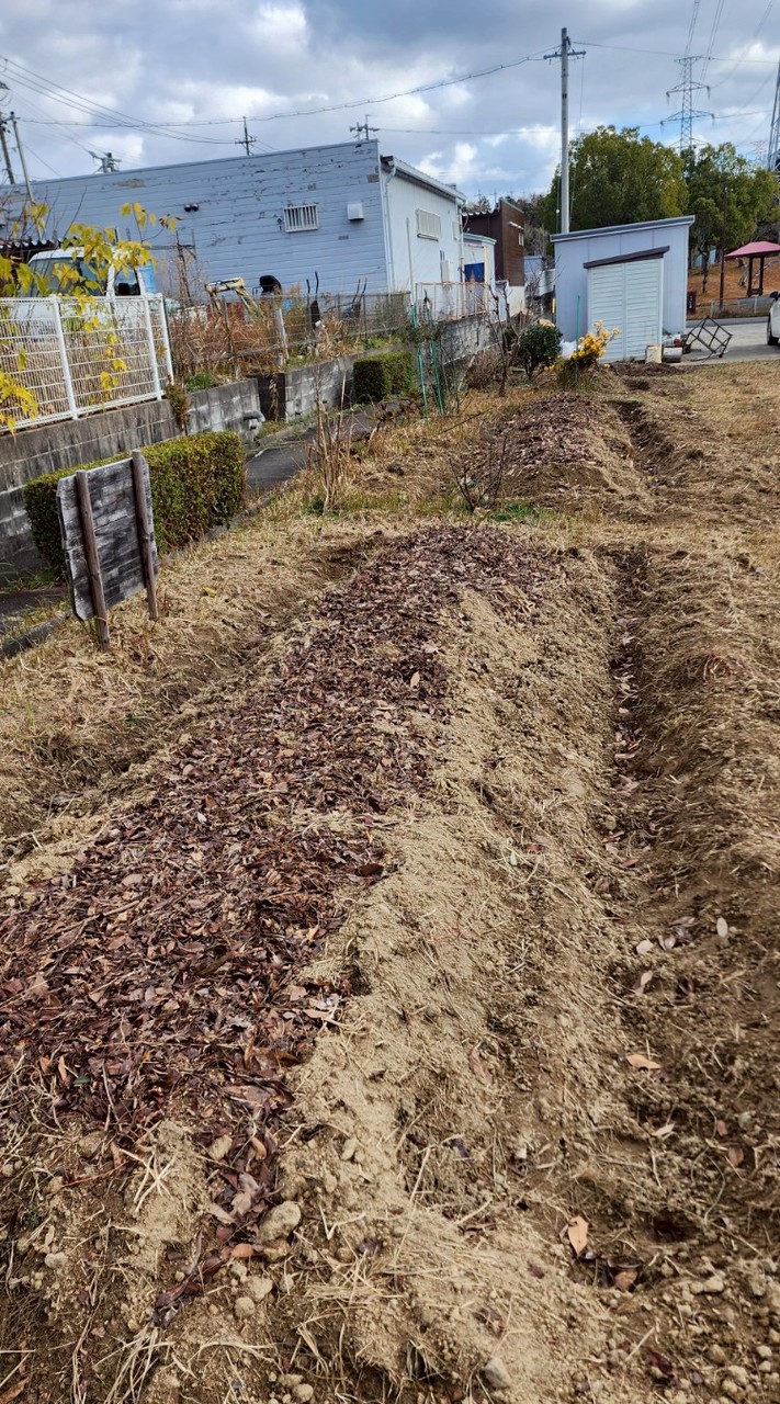 わくわく農園✴️城山畑作り