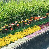 福岡の学生限定