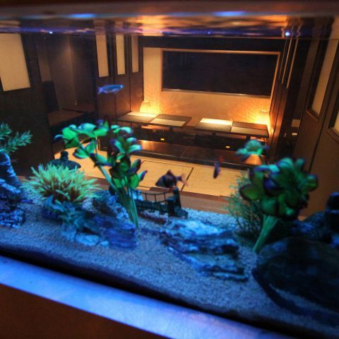 Mixed Media Feed 渋谷個室居酒屋 鶏こっこ Line Official Account