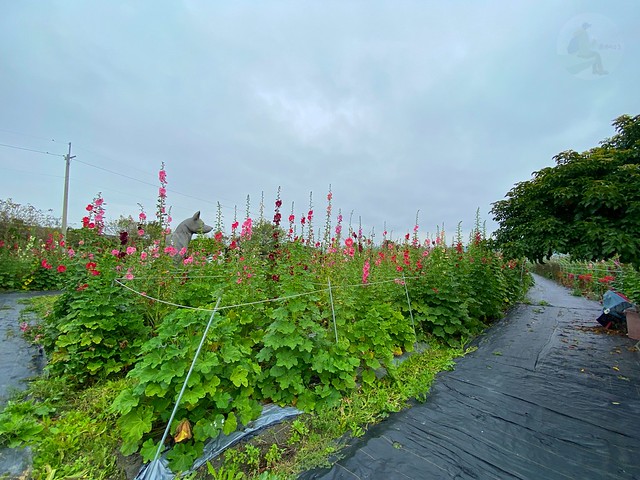 田中窯創藝園區