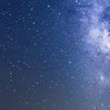 ねぇ……構って欲しいです………