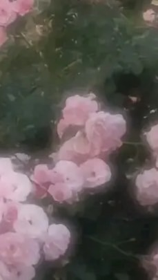 【相談オプ】