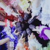 💖きゅーてすと全員集合🐾