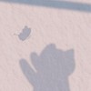Dom/sub ✦ 貴方は私の世界で