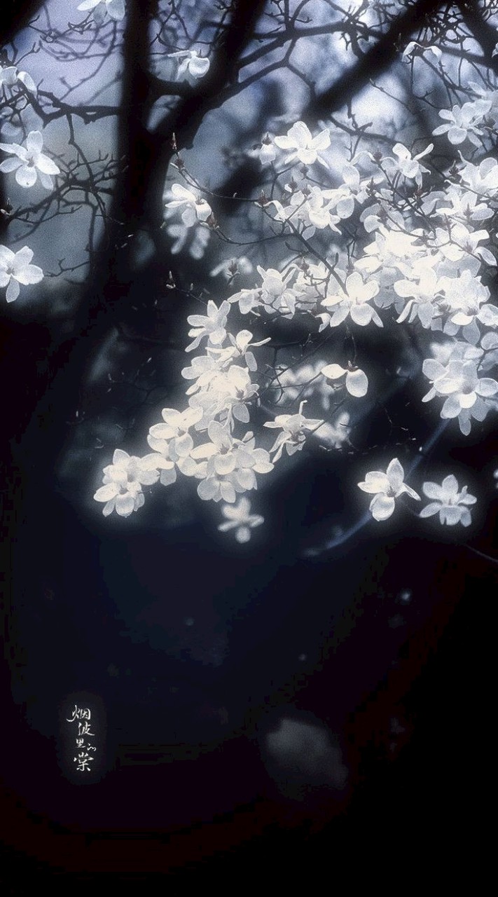 🌈🕒 限定 夢ハント❣️