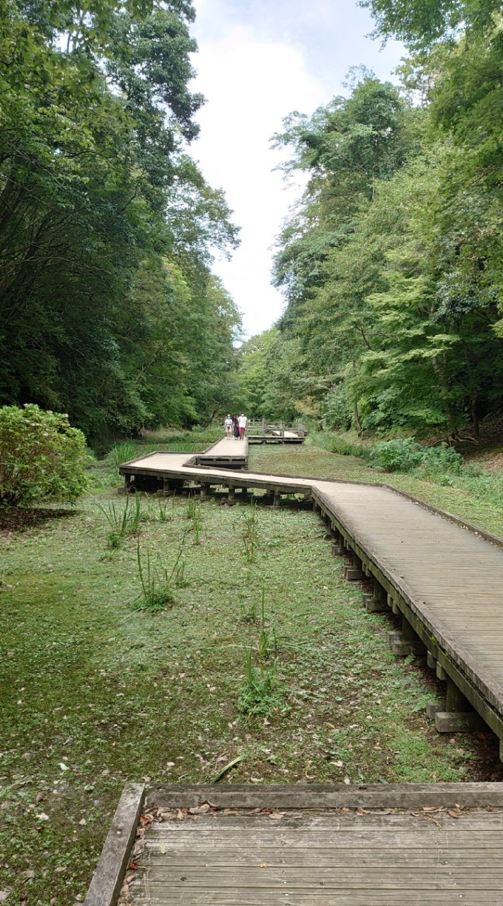 🌟雑なオープンチャット🌟のオープンチャット