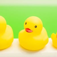 夜風呂やシャワー苦手だけどなるべく楽しく💃入ろう🛀雑談OK！