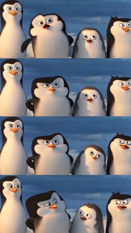 馬達加斯加暴走企鵝