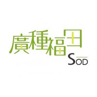 ​廣種福田香瓜萃取物｜內行囤貨折扣群