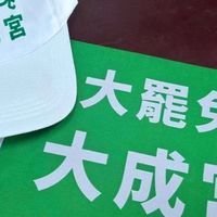 大罷免、大自宮、大成公-罷免藍白救台灣