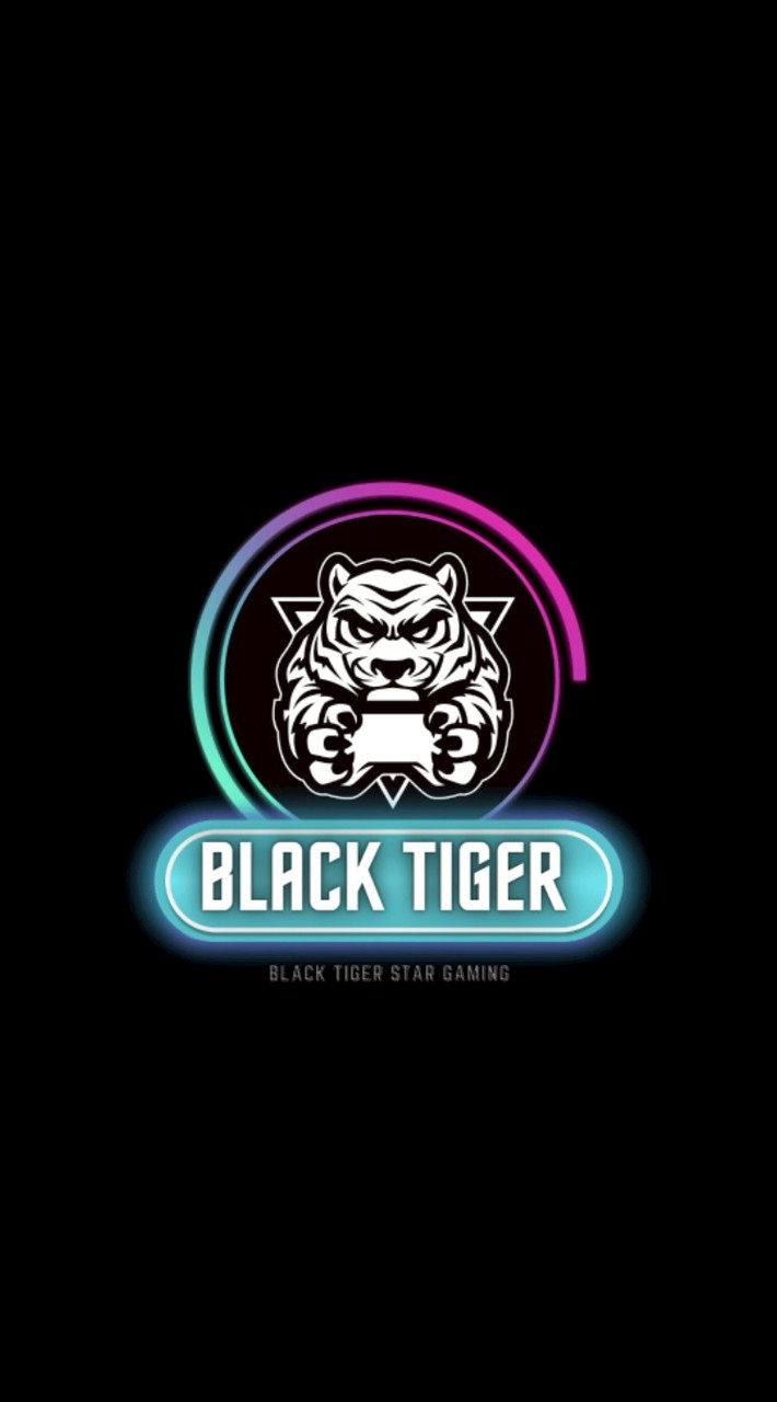 BT•BlackTiger