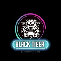 BT•BlackTiger