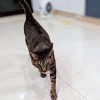 SN狙擊戰隊