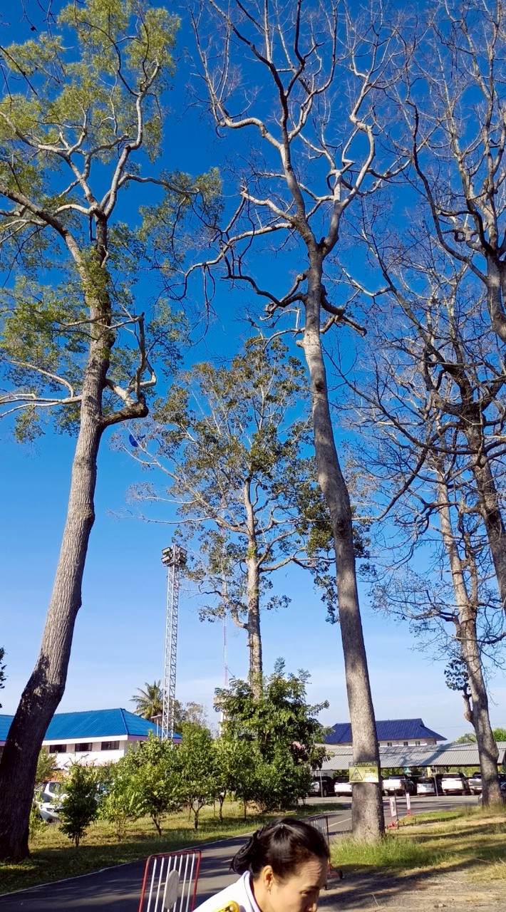 3/68-0002117 กลุ่มเรียน