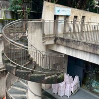台北松基道家拍打