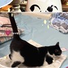 Lena x go購購🛍️ 🐈 🐕 🇰🇷