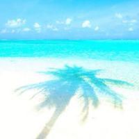 沖縄旅とグルメ国内海外あれこれ