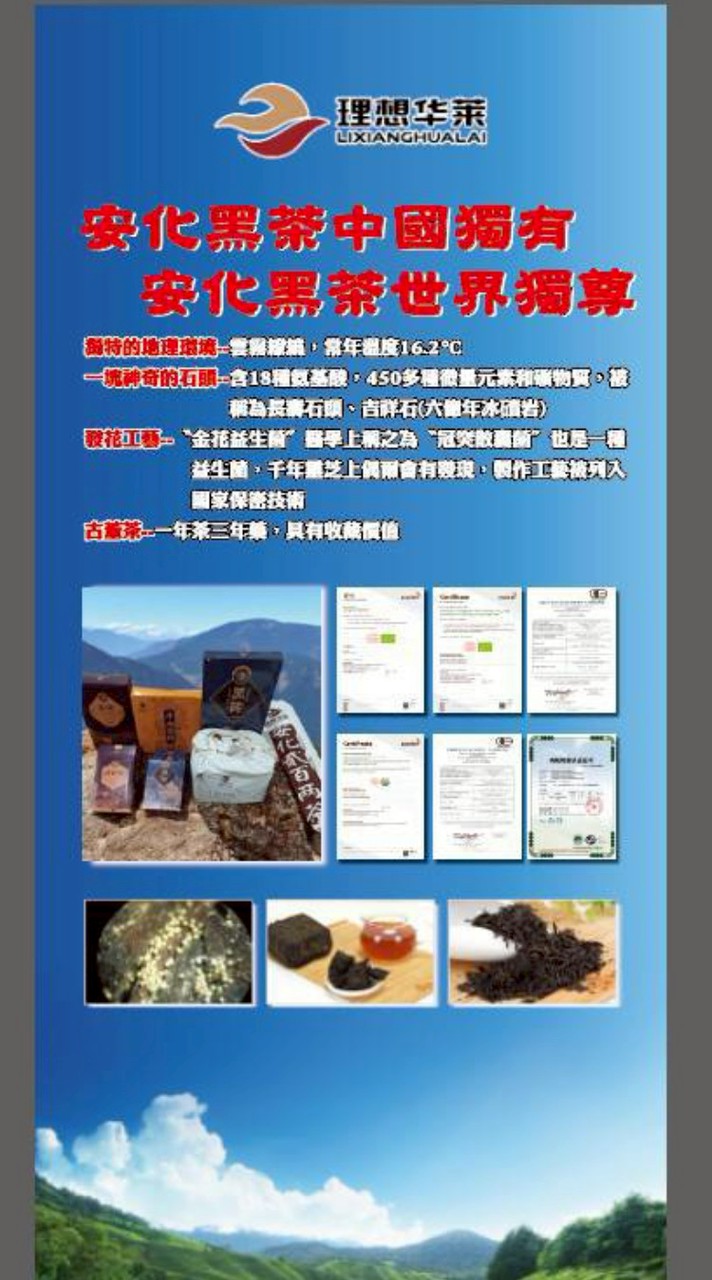 蔡承祐0905975327 AI元宇宙自媒體