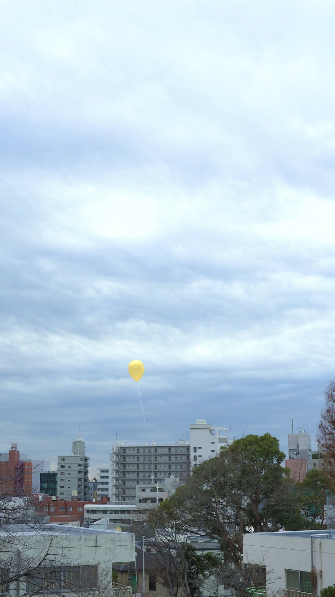 佐藤雅彦研究室の またまた ご協力願えますか 第4回 挑戦はつづく