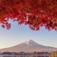 🌸美麗小日子商鋪🌸國內國外選物零售小舖