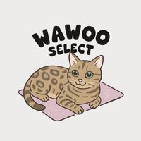 WAWOO連線社群🐱