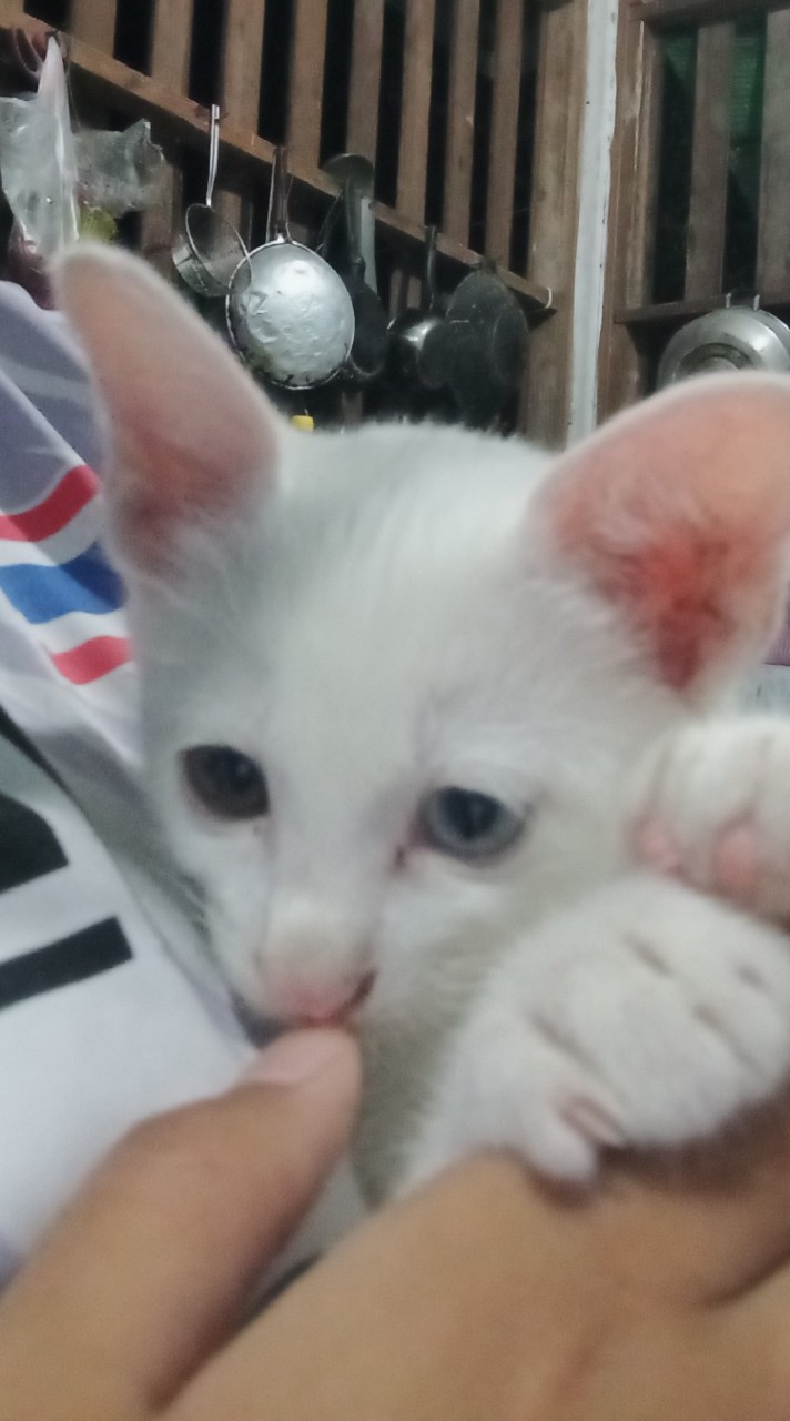 มึนไร