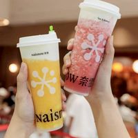 NaiSnow MAYA Promotion