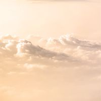 高雄市坪頂國小602畢業旅行