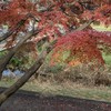 東京公園BBQ&焚き火（Tokyo Park BBQ,bonfire)