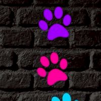 可愛い❣️犬🐶猫😺大好き集合ー‼️‼️